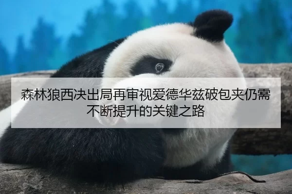 森林狼西决出局再审视爱德华兹破包夹仍需不断提升的关键之路