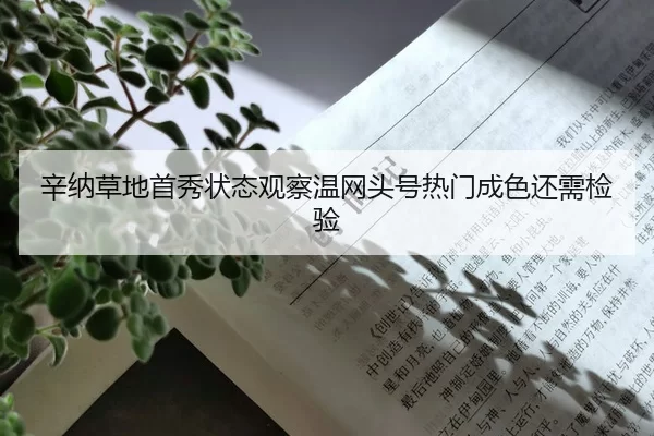 xin-na-cao-di-shou-xiu-zhuang-tai-guan-cha-wen-wang-tou-hao-re-men-cheng-se-hai-xu-jian-yan-2-681.jpg